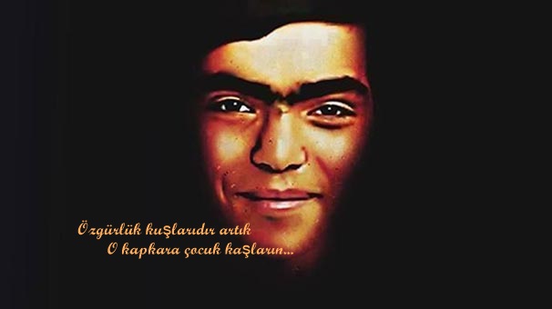 berkinelvan